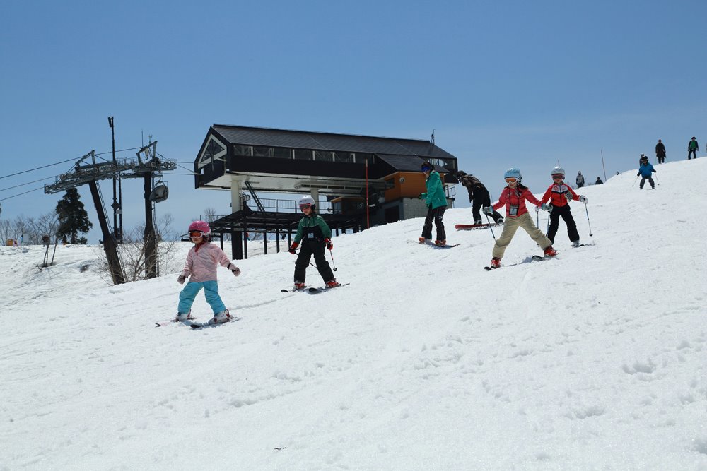 Nozawa Group Lessons