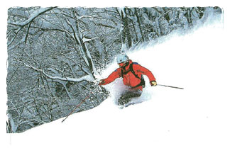 Furano Snow Sports
