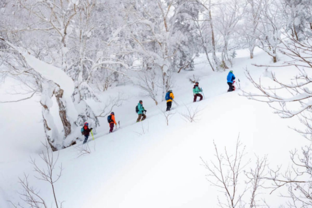 Whiteroom Tours Furano