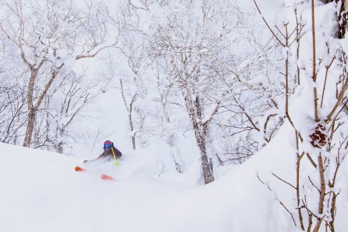 Niseko Guiding and Backcountry Touring