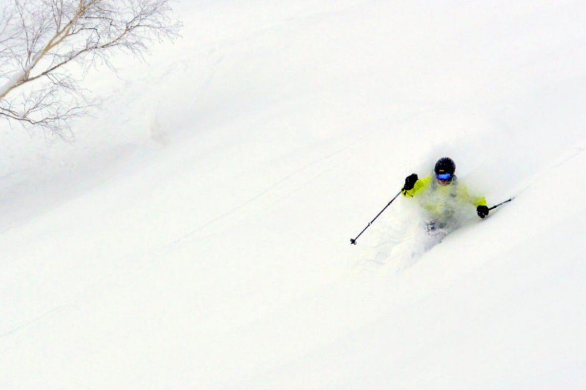 Whiteroom Tours Lessons