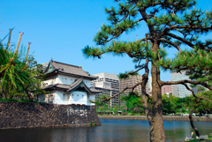 Imperial Palace Garden Tokyo