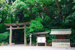 Meiji Shrine Tokyo