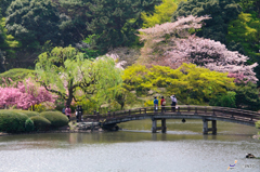 Shinjuku Gyoen Tokyo