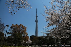 Tokyo Skytree