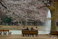 Yoyagi Park Tokyo