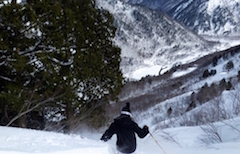 Central Snowsports Equipment Hire Hakuba