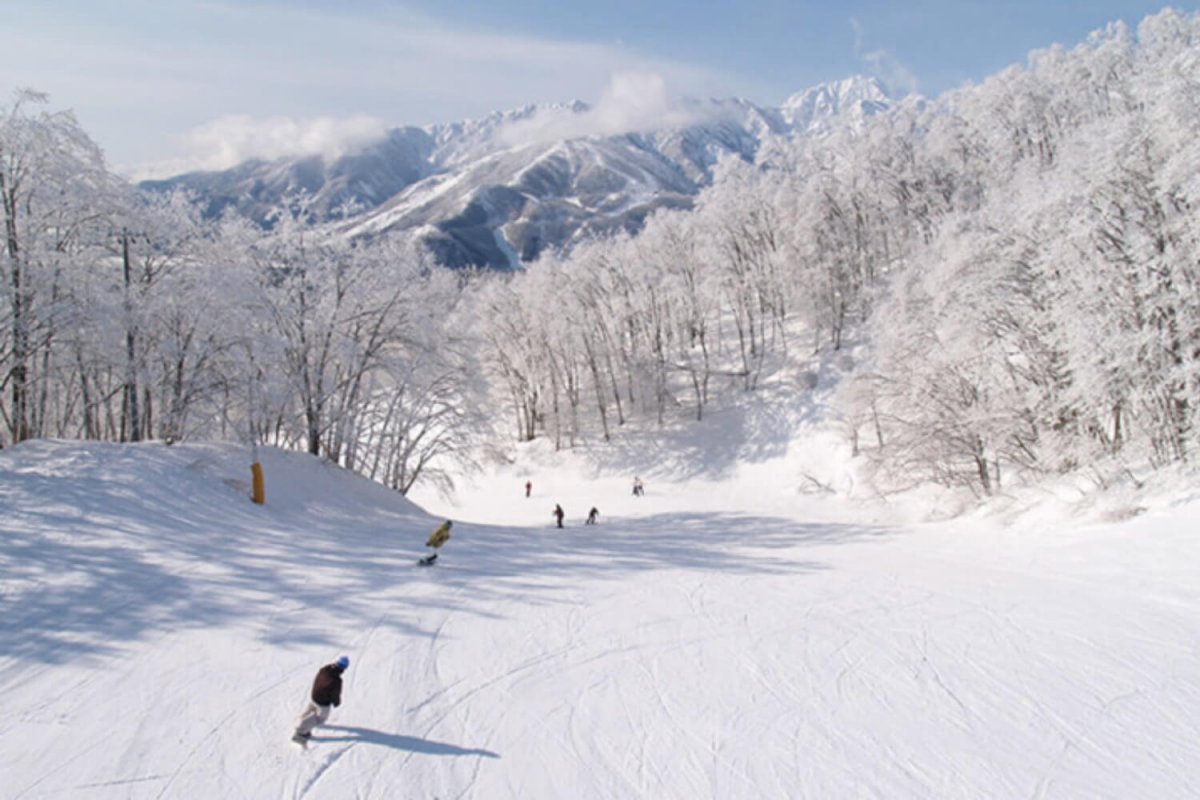 Hakuba Iwatake 