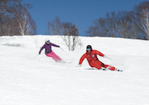 Myoko Snowsports - Group Lessons