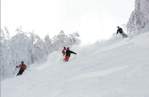 Myoko Snowsports - Group Lessons