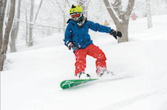 Myoko Snowsports - Group Lessons