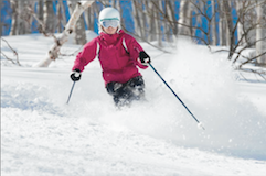 Myoko Snowsports Private Lessons 