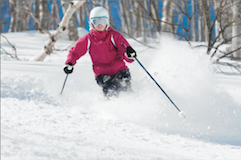 Myoko Snowsports Private Lessons