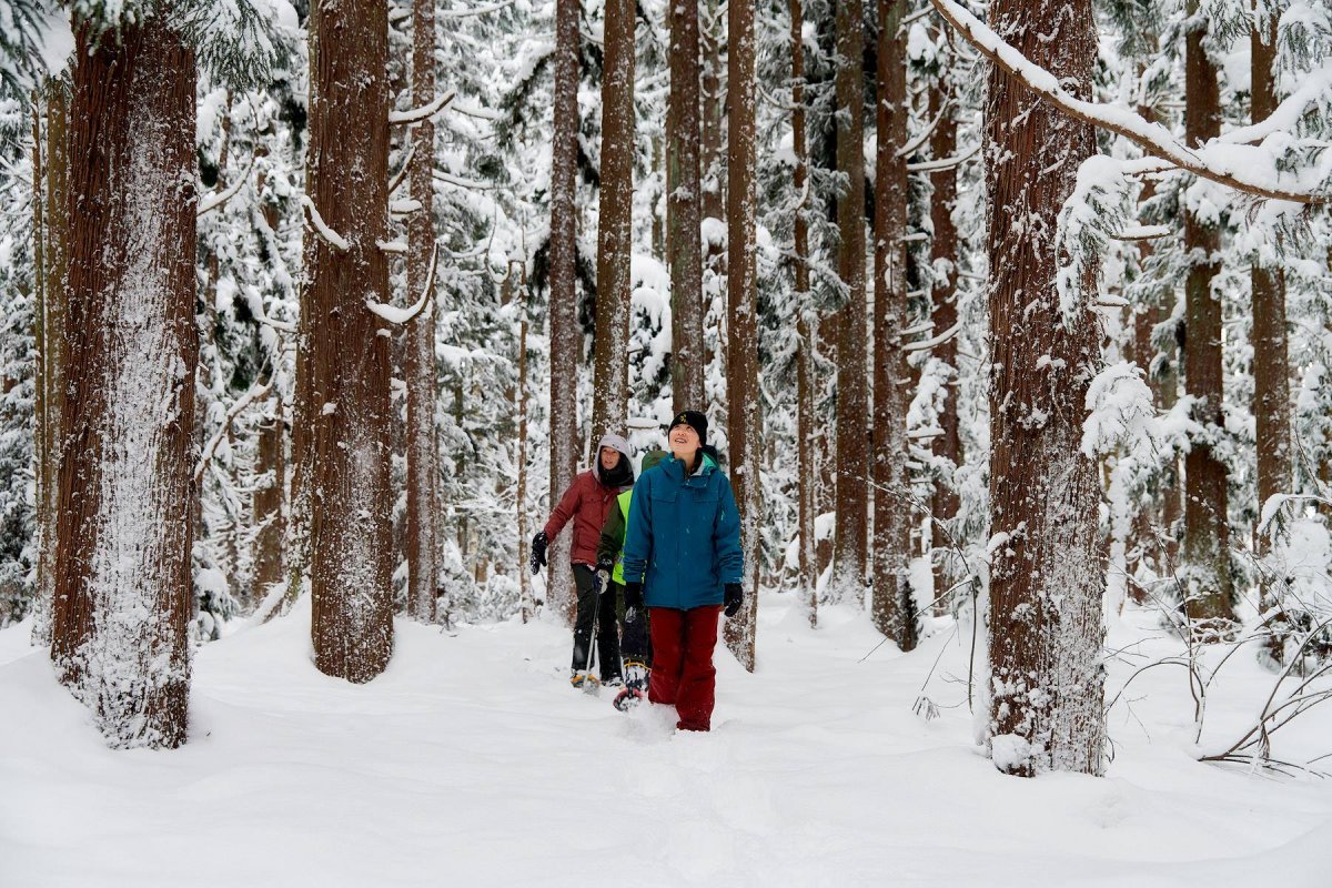 Myoko Ikenotaira Snowshoe Courses