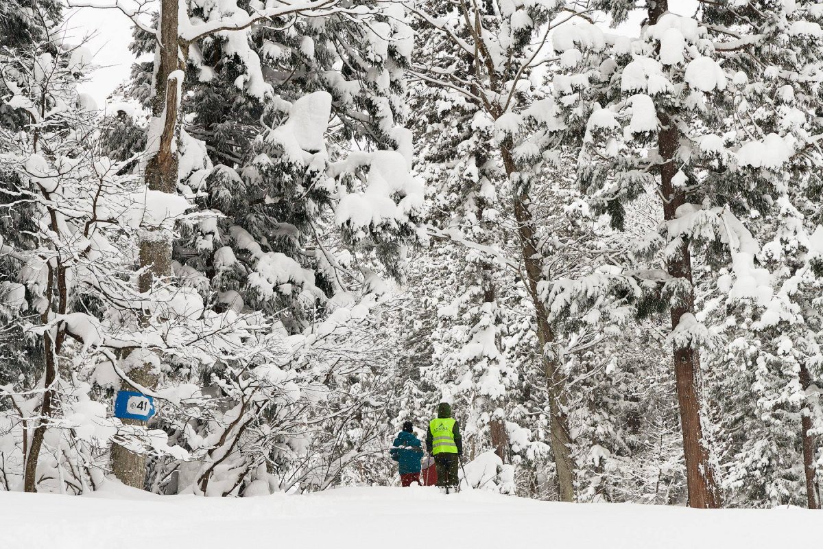 Myoko Snowshoe Tour