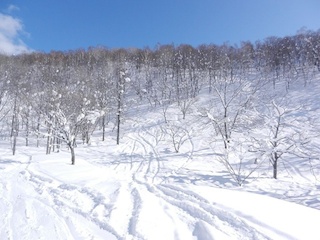 HPG Niseko Gate Guide