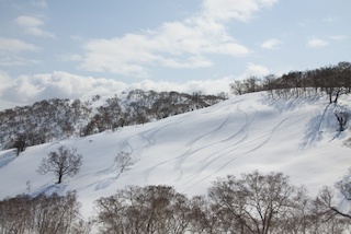 HPG Niseko Gate Guide