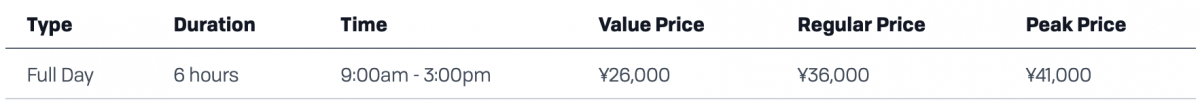 Go Snow Workshops pricing table