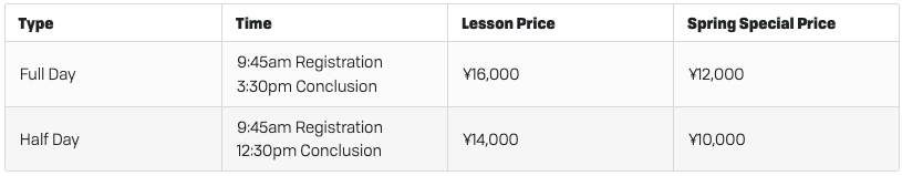 Go Snow Adult Group Lesson Prices
