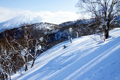 Niseko Hanazono Powder Guides