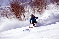 Niseko Hanazono Powder Guides