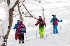 Niseko Hanazono Powder Guides