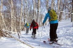 Niseko Hanazono Powder Guides
