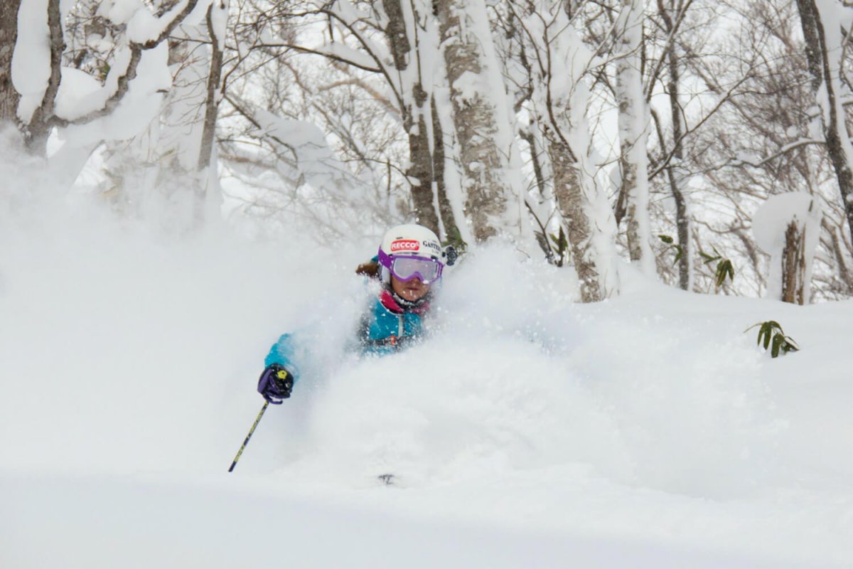 Niseko Powder Guides