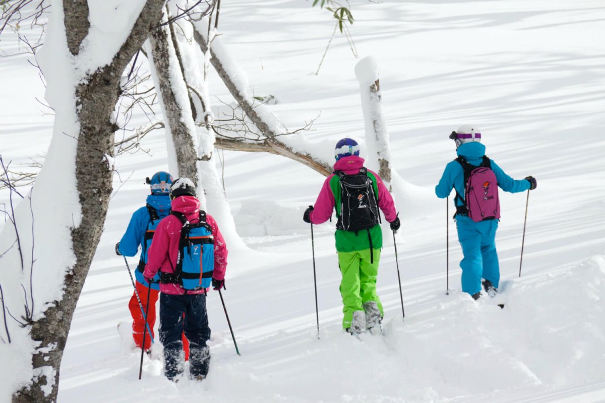 Niseko Powder Guides