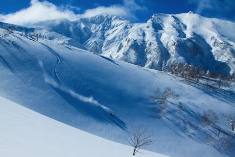 Niseko Backcountry Tours
