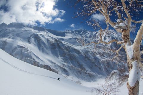 Niseko Guiding Powder Hound Tour