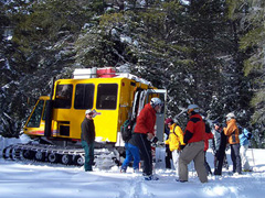 Niseko CAT Skiing