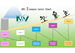 NVSS Ability Level Chart
