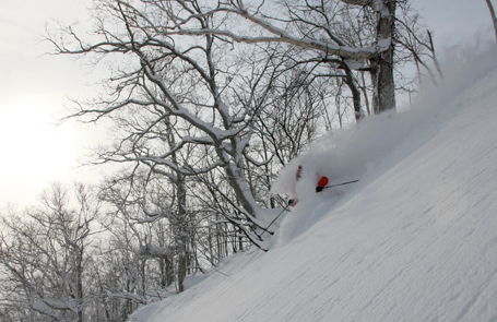 Niseko Village Ski Snowboard Lessons