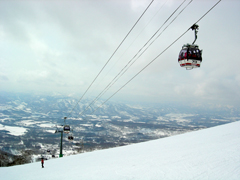 Niseko Lift Passes