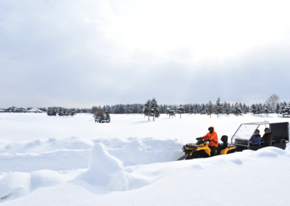 Niseko Village Jumbo Sled Tour