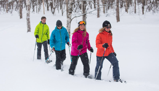 Niseko Village Snow Shoe Tours