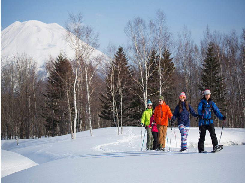 Niseko Village Snow Shoe Tours