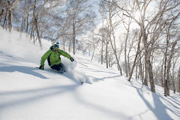 Niseko Village Ski Snowboard Lessons