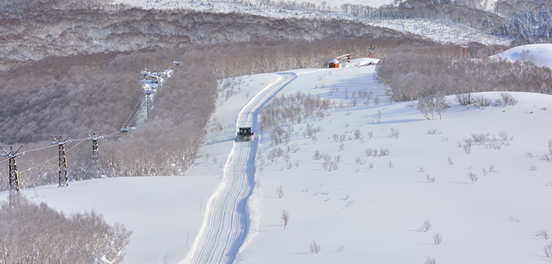 Niseko weiss