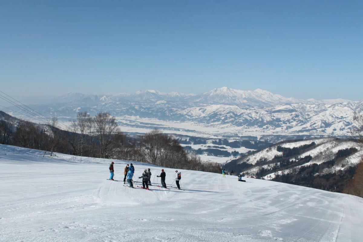 Nozawa Snowsports School