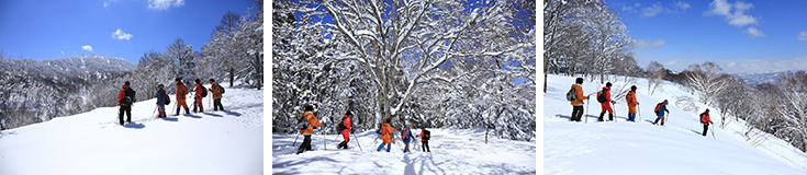 Nozawa Snowshoe tours