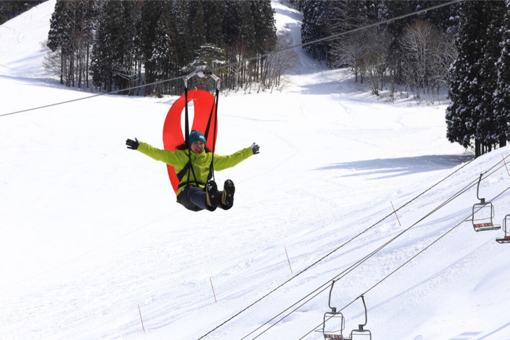 Nozawa Skyride