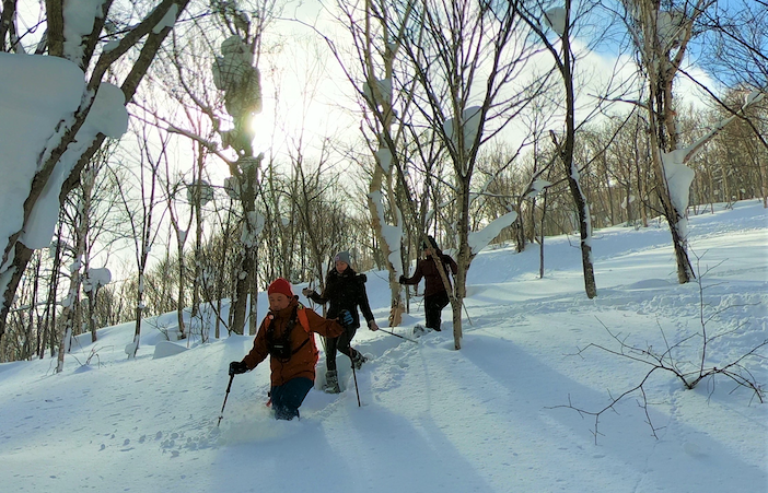 Kiroro Snow Shoe Tour