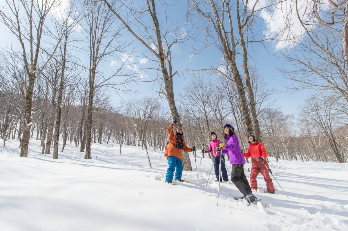 Kiroro Snow Shoe Experience