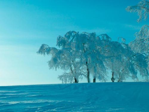 Snowshoeing - Trekking in the morning