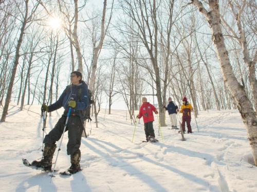 Rusutsu Snow Shoe Nature Tour