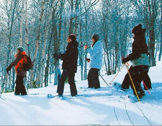 Rusutsu Snow Shoe Tours