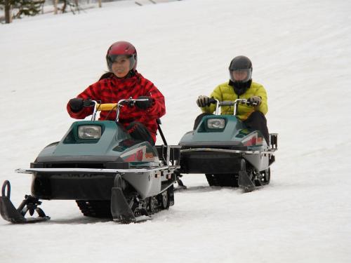 Two people riding snowmobiles at Rusutsu Resort